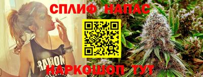 СК Донецк