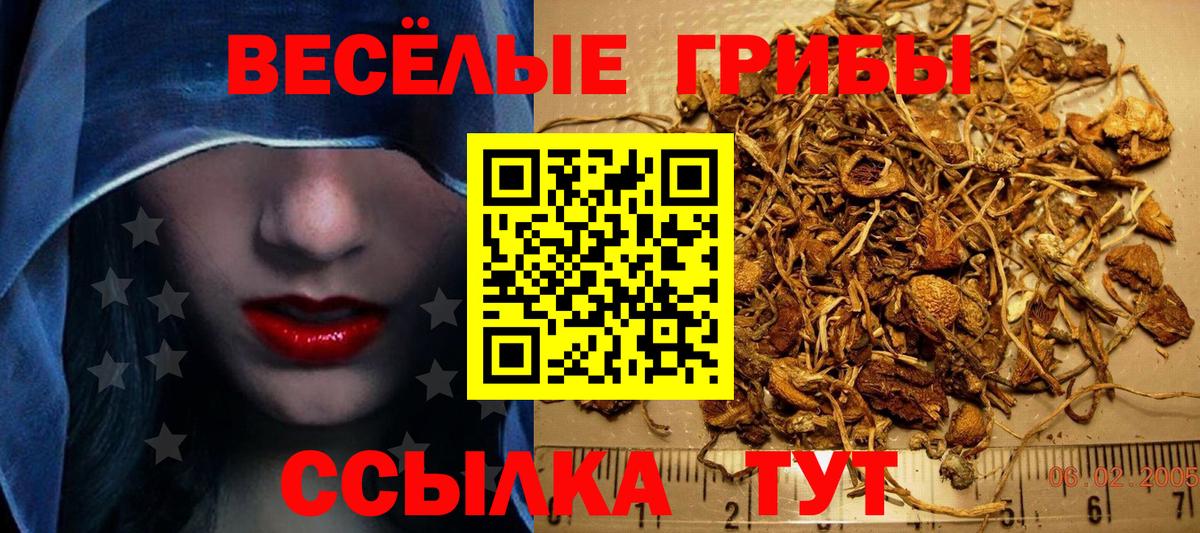 Псилоцибиновые грибы Psilocybine cubensis  Вход с VPN  Лосино-Петровский  цены наркотик  Галлюциногенные грибы мухоморы 